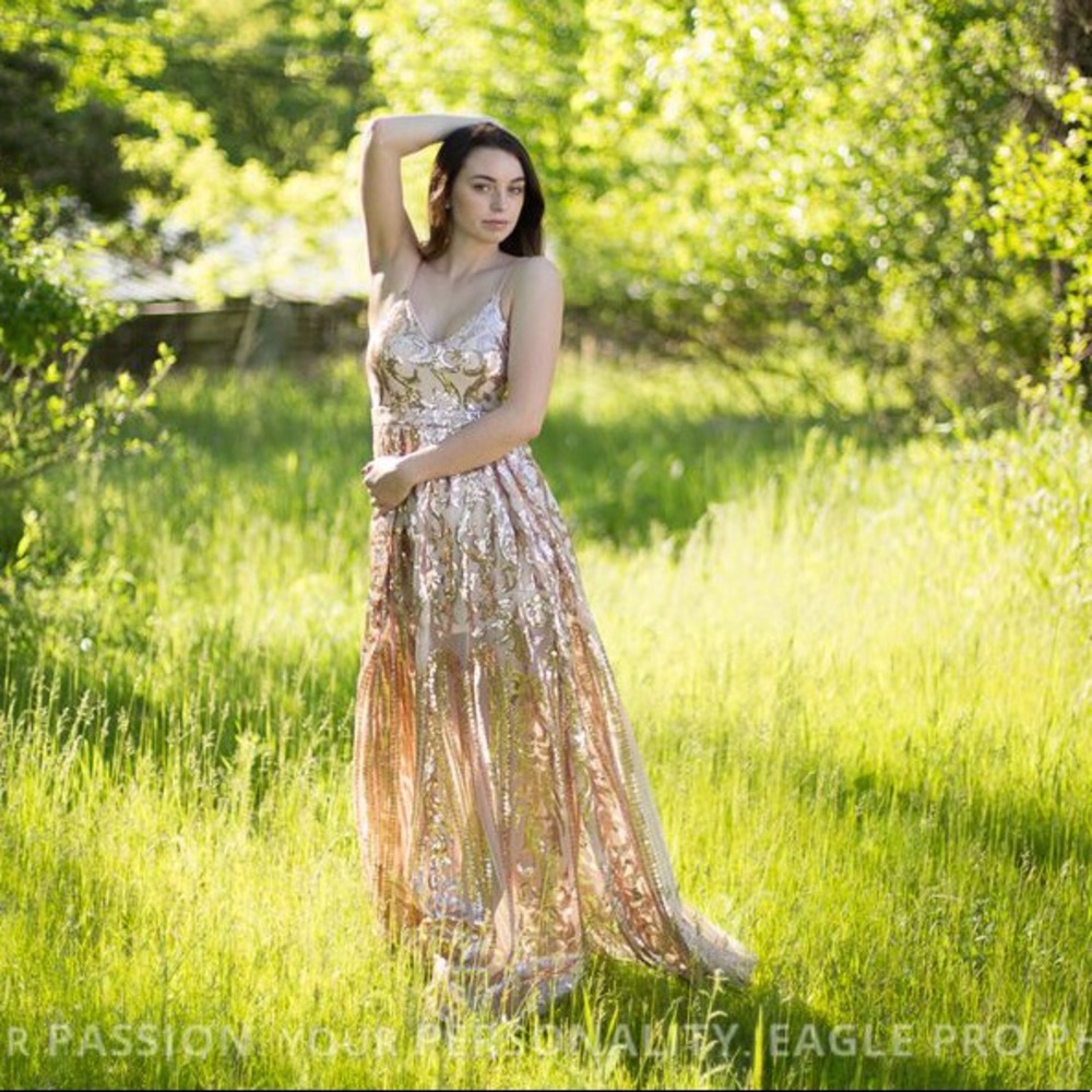 Prom Dress/Evening gown